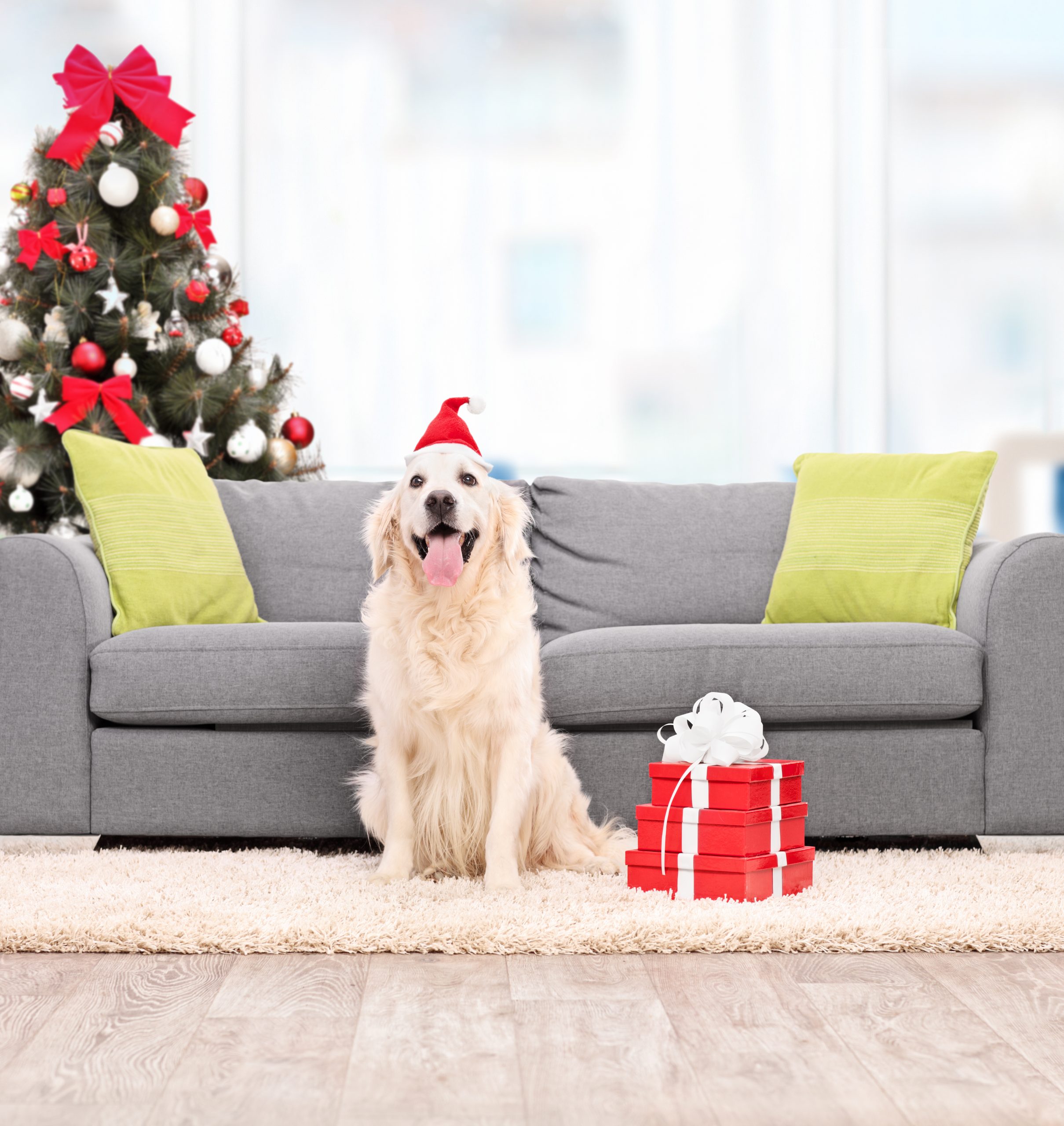 L’Importanza di avere un divano letto…soprattutto a Natale!